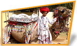 Camel Festival