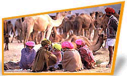 Pushkar Fair