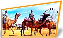 Pushkar Camel Fair